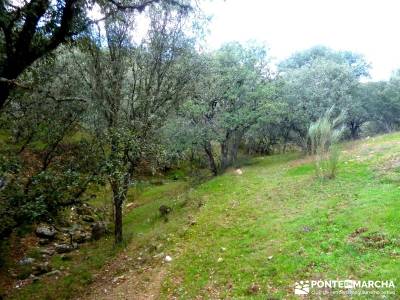 Cárcavas del Río Perales - Sierra Oeste de Madrid; grupo de senderismo madrid